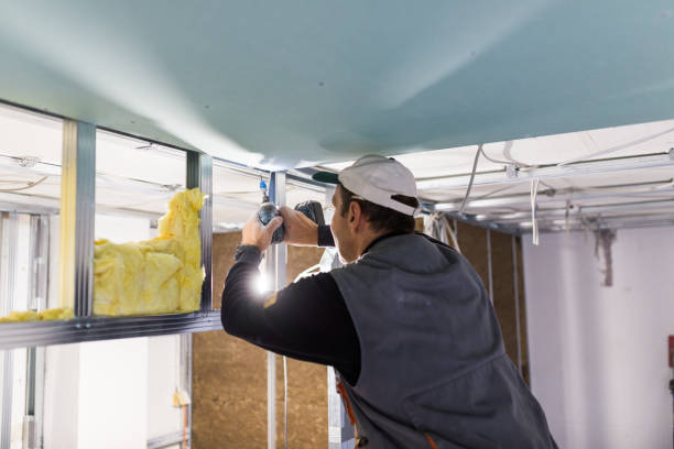 Best Insulation for Specific Applications in Rancho Mission Viejo, CA