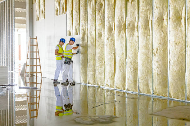 Best Insulation Installation Services in Rancho Mission Viejo, CA